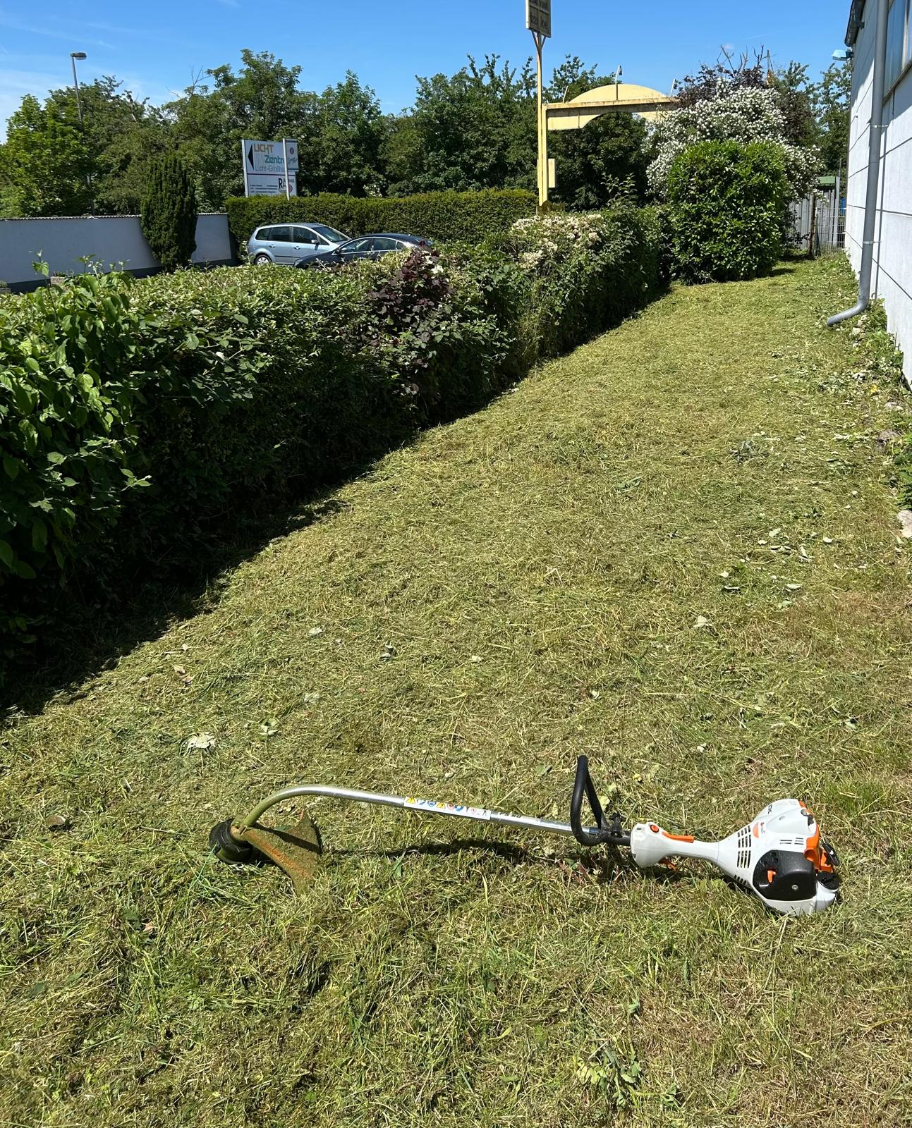 Nachher Wiesenfläche